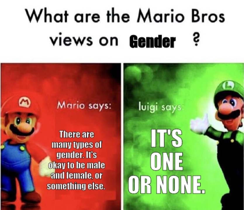 Male and Female are the only gender. Change my mind. - meme