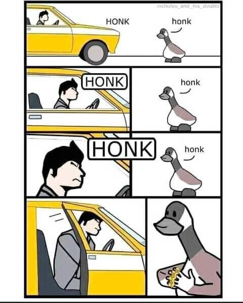honk - meme