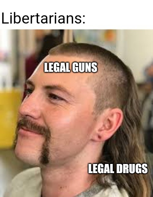 Libertarians Have The Most Fun - meme