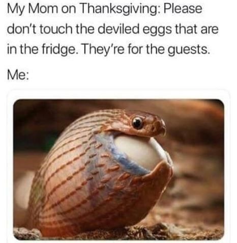 funny thanksgiving relatable meme