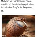 Thanksgiving meme 2022