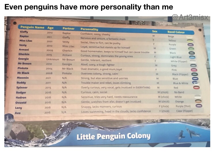 Penguins are taking over - meme
