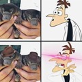 Perry el ornitorrinco! :Doofenshmirtz: