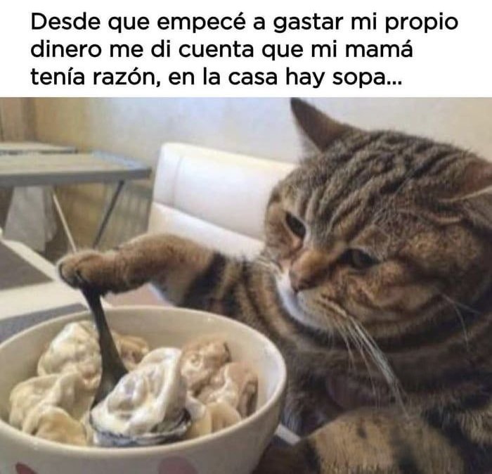 Desde que empecé a gastar mi propio dinero entendí que mi mamá tenía razón - meme