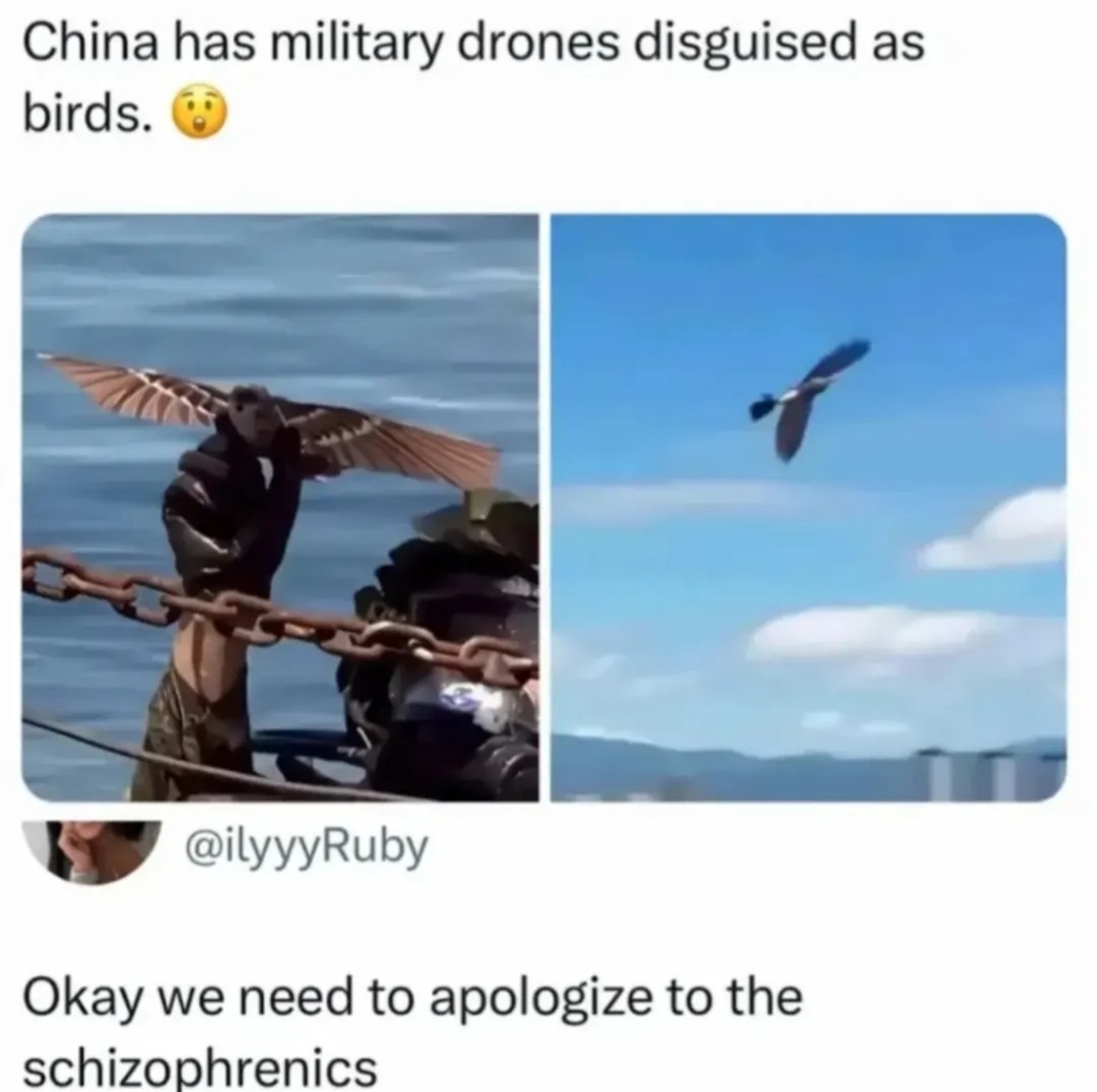 - - meme