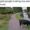 good shit google