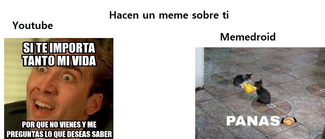 PANAS - meme