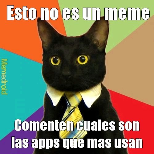 PD:gato empresario sos al primero que te conocí en memedroid