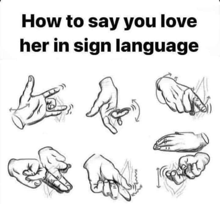 How to Say You Love Her - meme