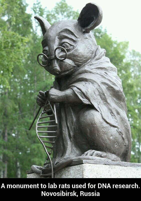 Monument to lab rats - meme