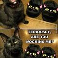 are u mocking me?