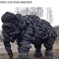 Elifant