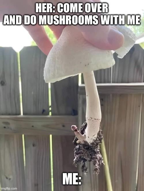 She can do this mushroom - meme