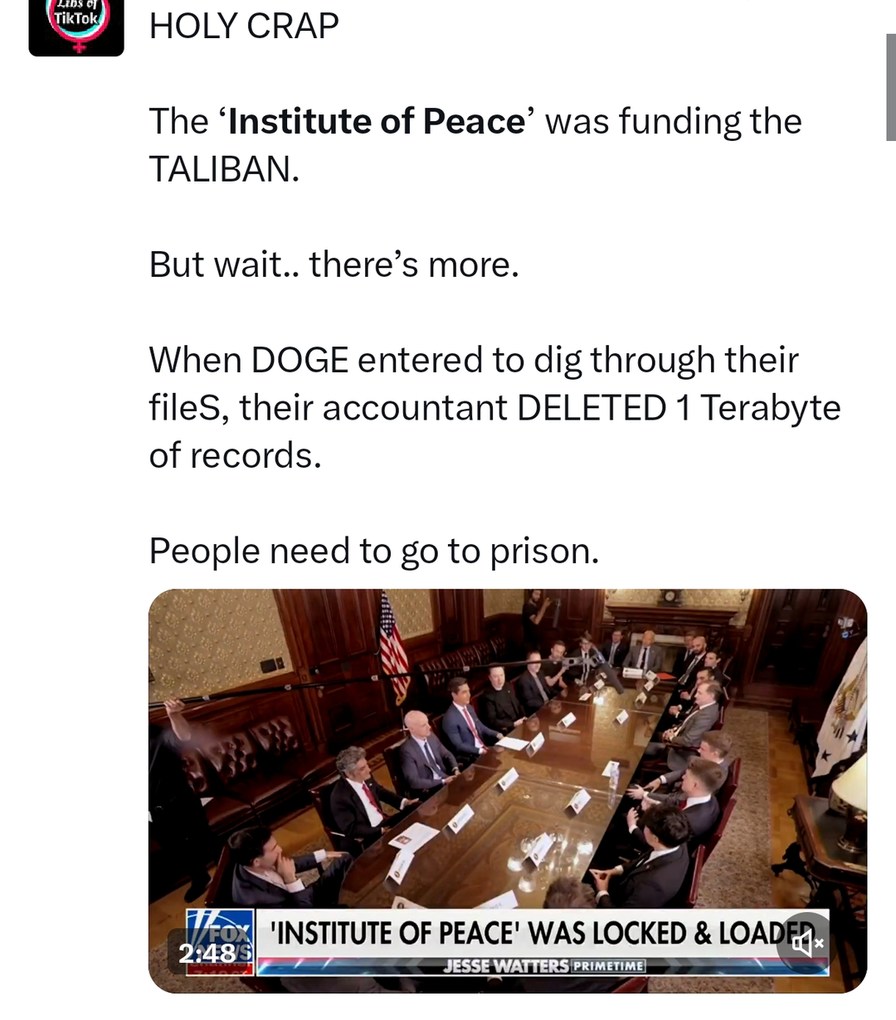 DOGE hacked the Institute of Peace and it went full conspiracy mode - meme