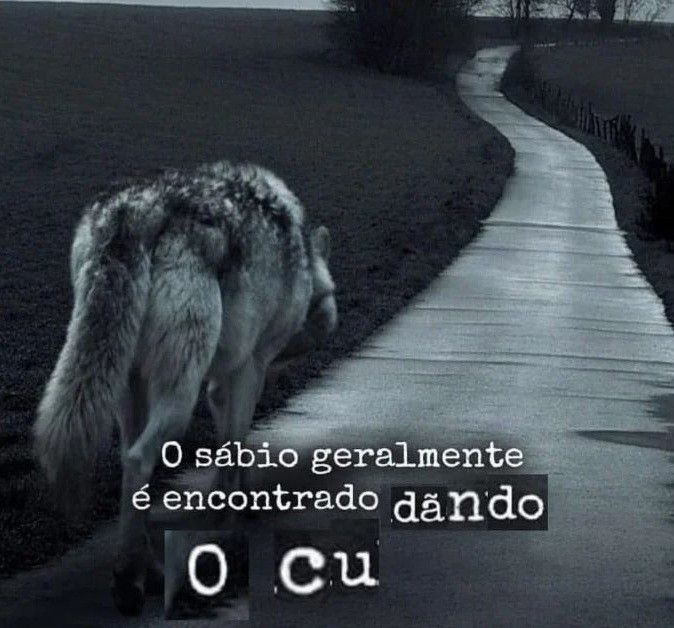 Domingo - meme