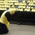 banana boe