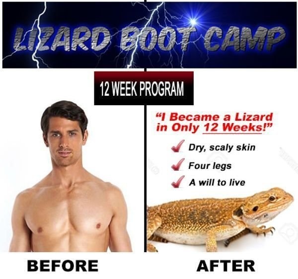 Lizard - meme