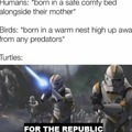 FOR THE REPUBLIC