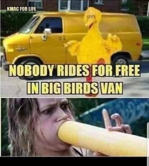 Big bird is fake taxi - meme