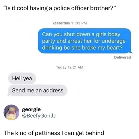Is it cool having a police officer brother? - meme