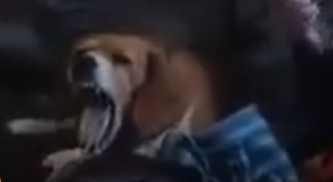 lo saque de un video xdxd - meme