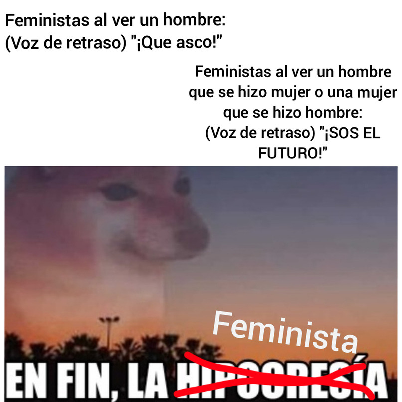 En fin, la feminista - meme