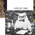 EVOLUTION OF CATS