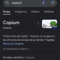 Copium