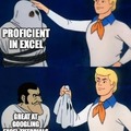 Proficient in Excel