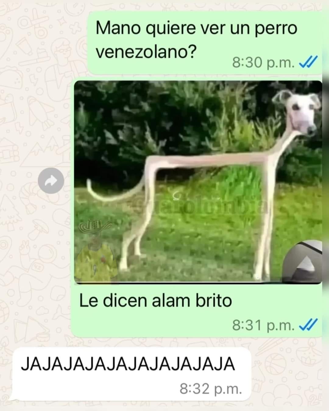 XDD - meme