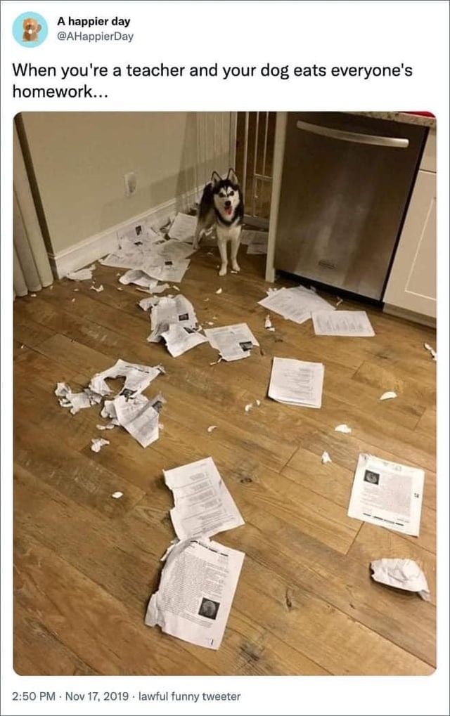 Teacher dog ate everyone's homework and got away with it - meme