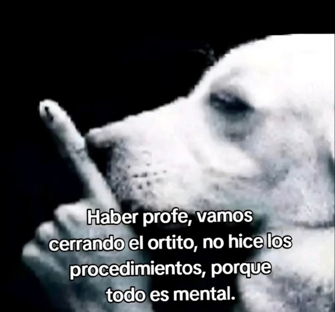 Profe todo es mental, los procedimientos son para débiles - meme