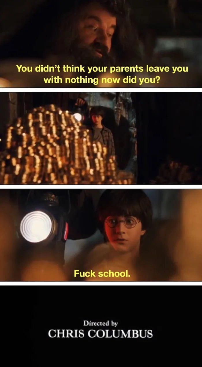 How should Harry Potter ended - meme