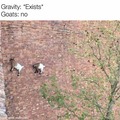 Goats free gravity