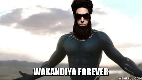 Meme de Wakanda Forever