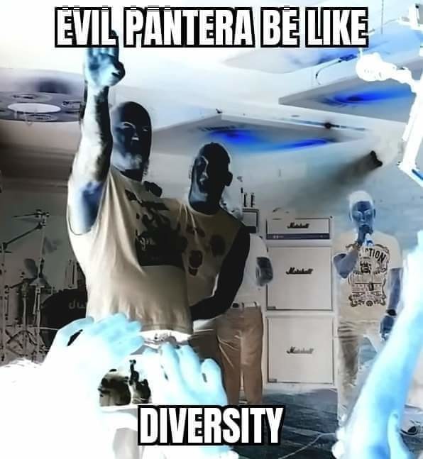 Diversity is Cool Man - meme
