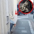 commented item thumbnail