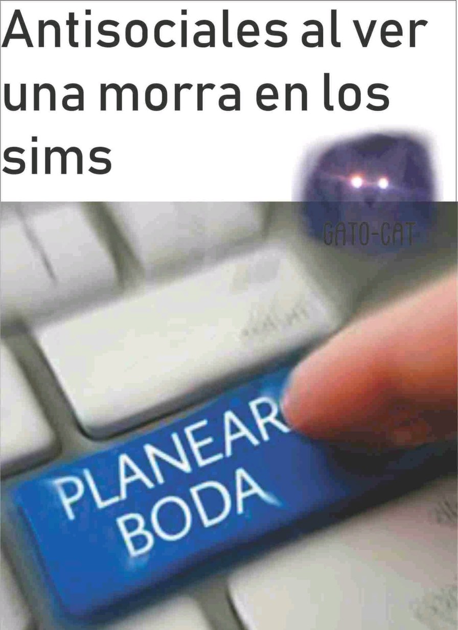 True - meme