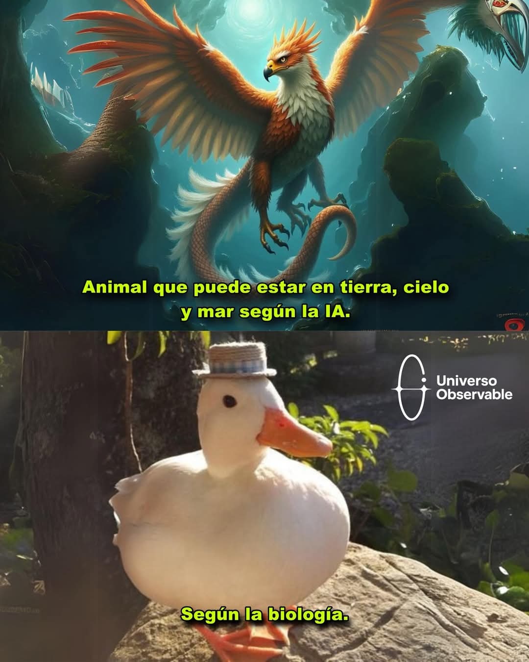 Universo reposteable - meme