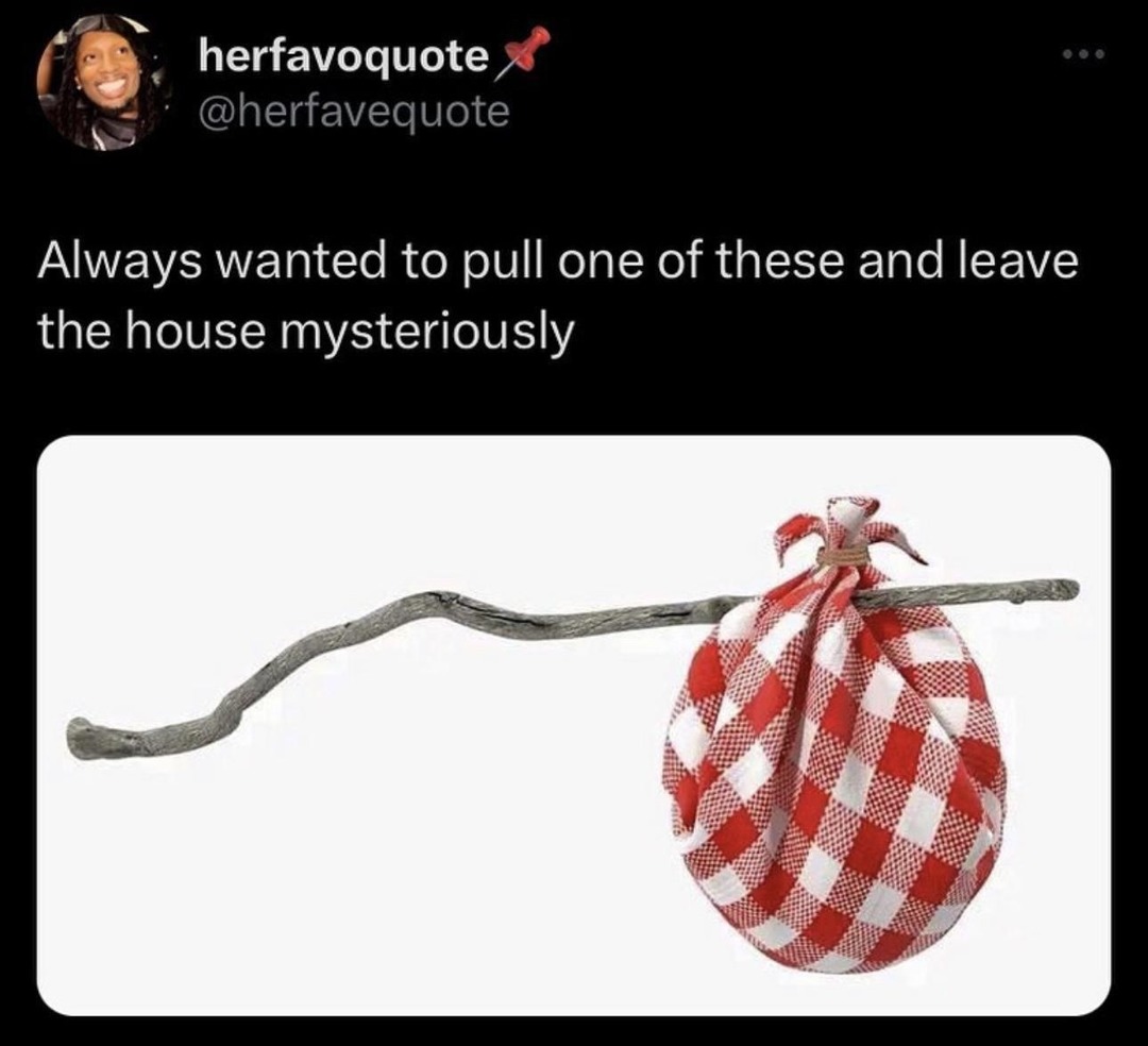Always wanted to leave the house dramatically like in the movies - meme