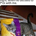 cat got the munchies