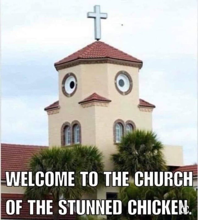 Welcome to the church of the stunned chicken - meme