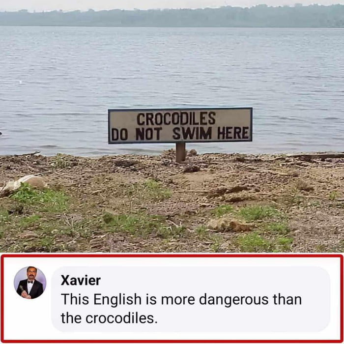 That’s exactly what crocodiles would write on a sign to get you into the water - meme