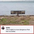 That’s exactly what crocodiles would write on a sign to get you into the water