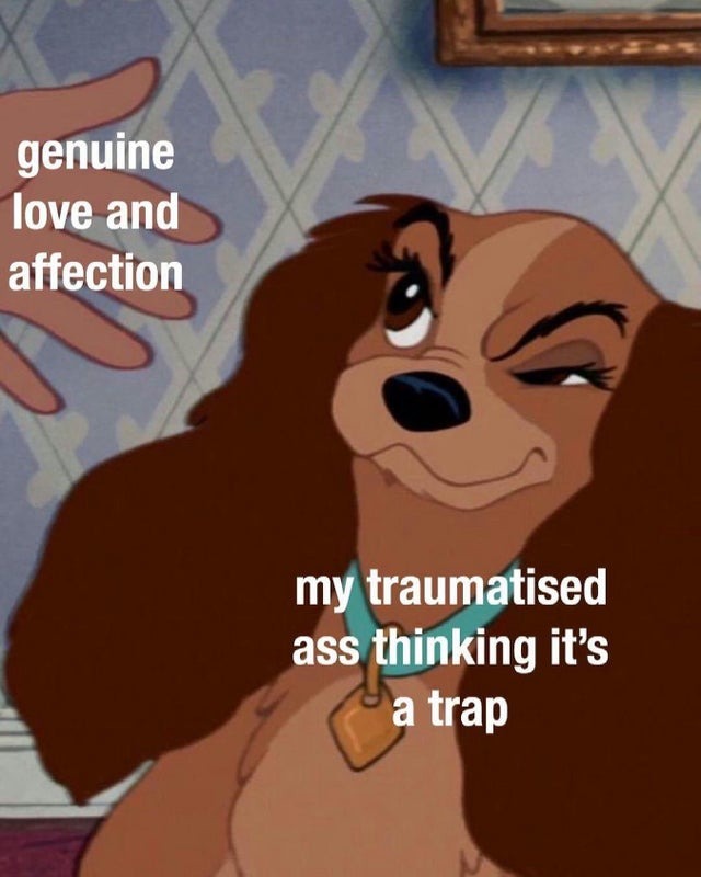 love and affection - meme