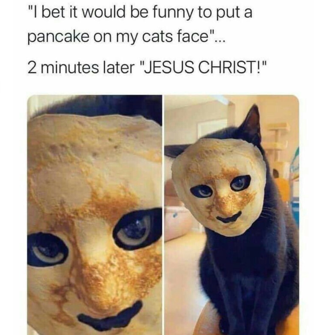 Cursed pancake cat - meme