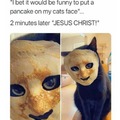 Cursed pancake cat