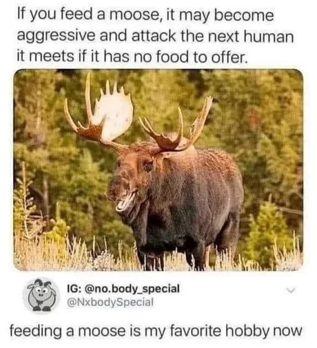 don't feed a moose please - meme
