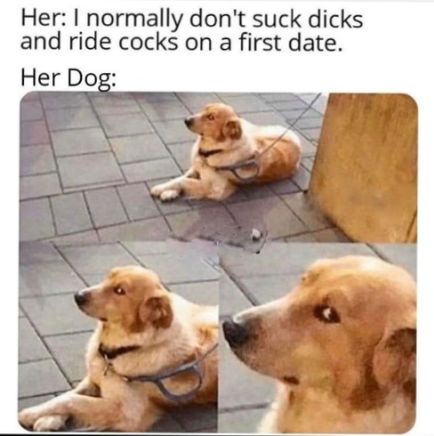 doggie - meme