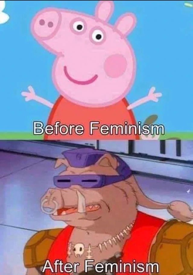 Never fo full feminist - meme